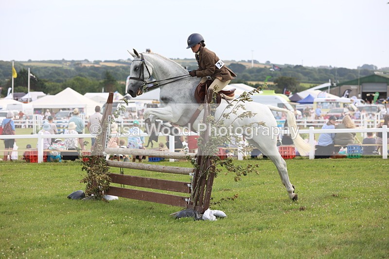 JPP_4168 - Class 25: Working Show Horse