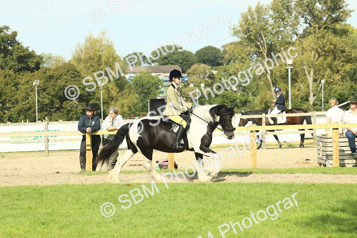 SBM_67605 - S56 - Coloured Pony Ridden