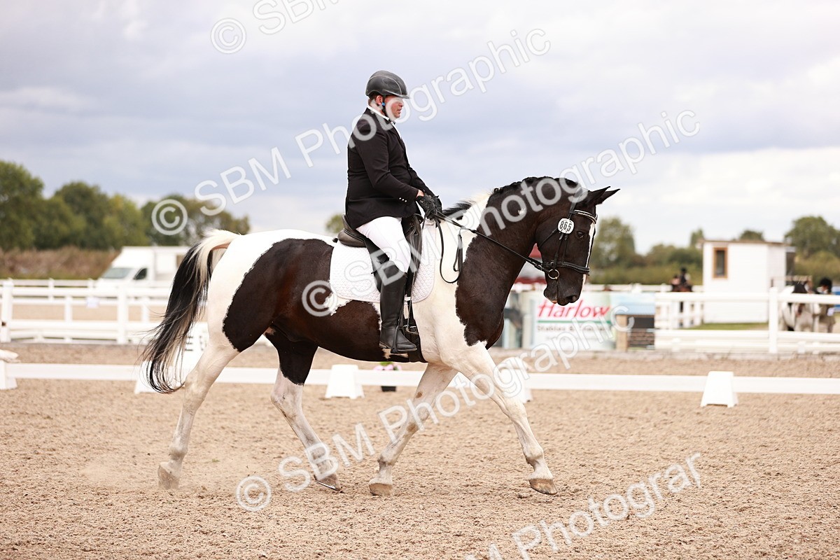 SBM_06388 - Class 37 - Novice 5