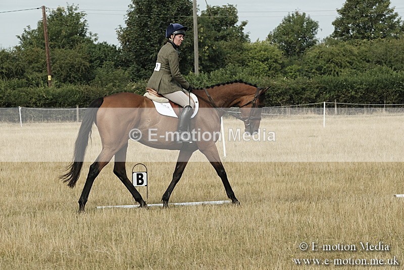 _PJP5636 - Dressage Classes BVRC Show 2018