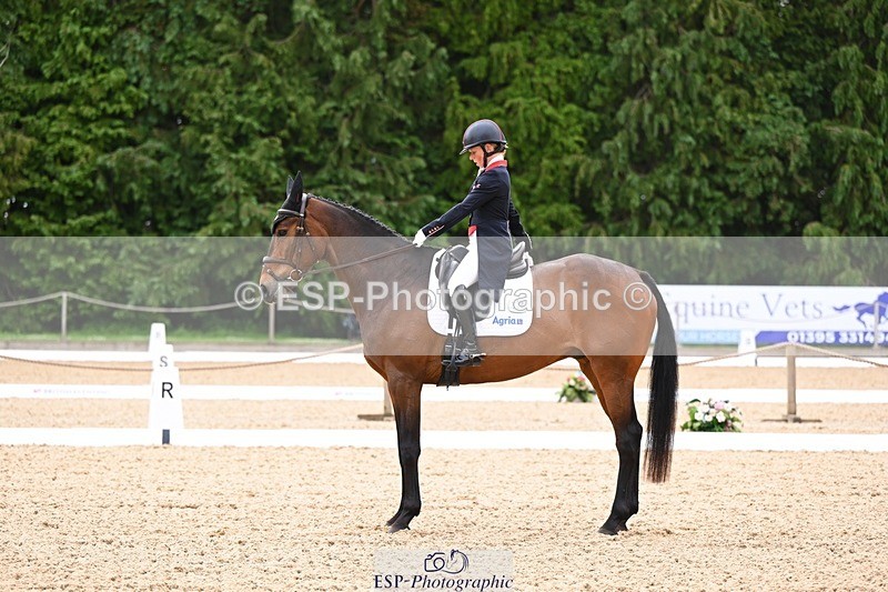 240524-091726-07765 - 504-LORDSHIPS_GRAFFALO-Rosalind_Canter