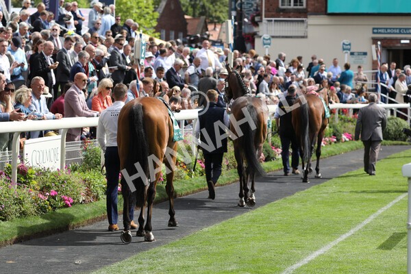 yr19082022r2-1 - Race 2 2.25pm Weatherbys Hamilton Lonsdale Cup (British Champions Series Race)
