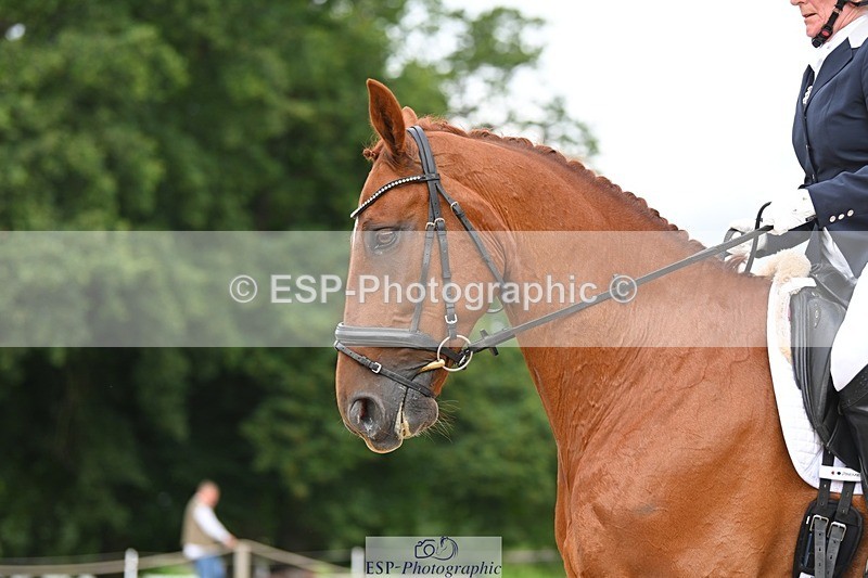 230813-110942-06524 - Cls 12 Elem Silver 10.35 to End