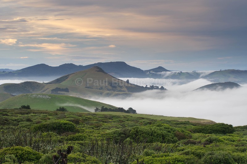 Allan Bay and Hoopers Inlet Otago Peninsular - New Zealand South Island