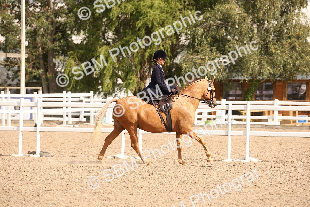 SBM_06713 - Class 24 Concours d'elegance