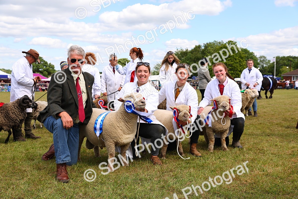 SBM_16959 - Grand Parade