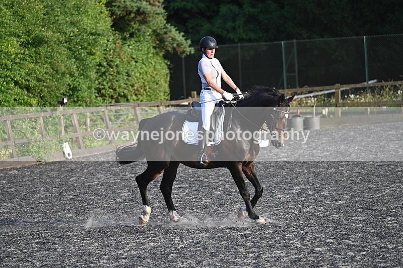 WJ7_0549 - Time 19:38 to 20:00