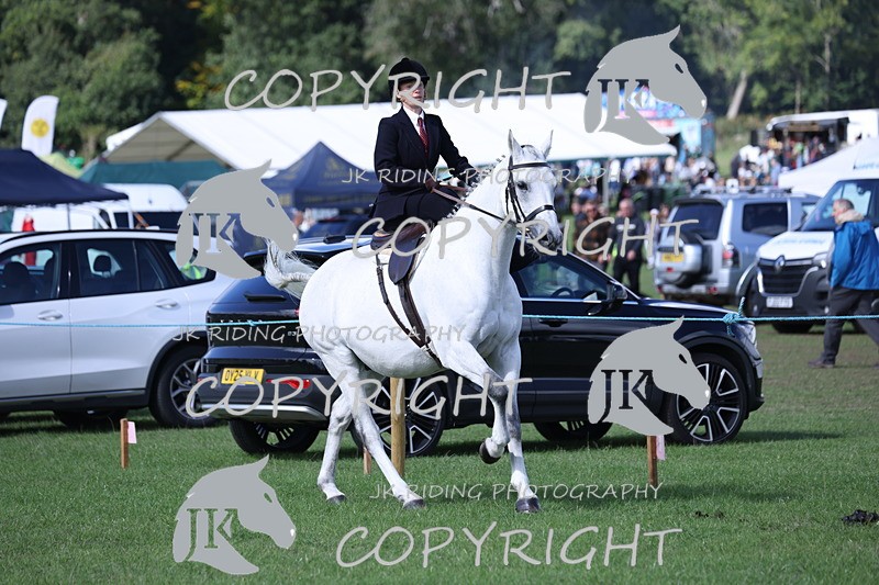 APP_3100 - Class 11 Veterans ridden