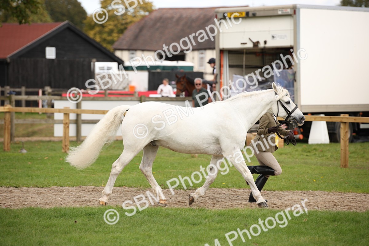 SBM_46327 - S25 - Mature Veteran In Hand