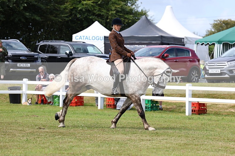 3E7A0184 - Class 6: Rising Star Maxi Cobs