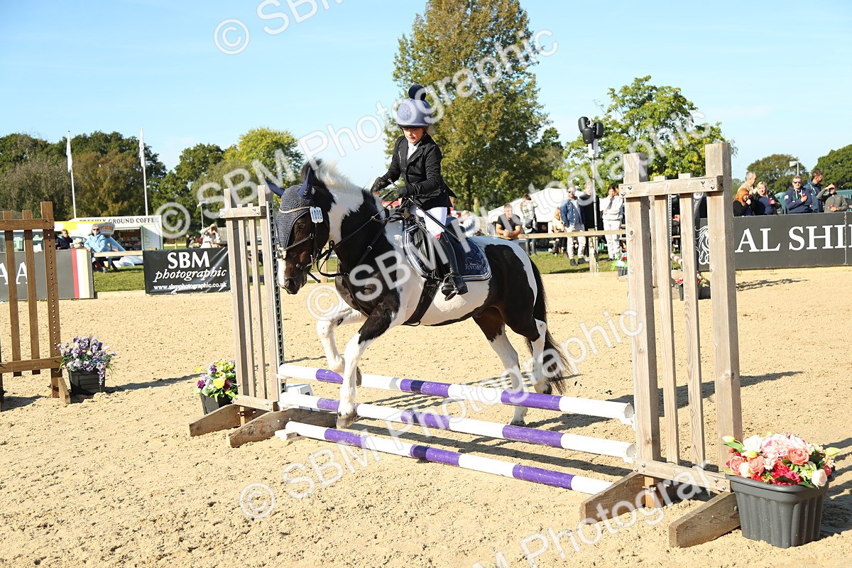 SBM_35902 - J5 - Junior Pony 50cm Championship