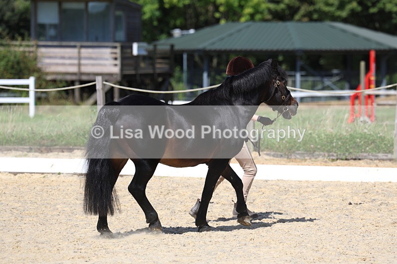 3E7A9401 - Class 29: Veteran In Hand