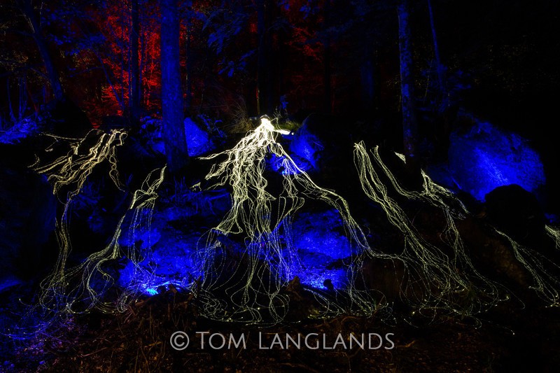 The Enchanted Forest - Events