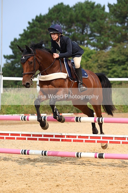 3E7A1290 - Class 4: Senior British Novice/90cm open