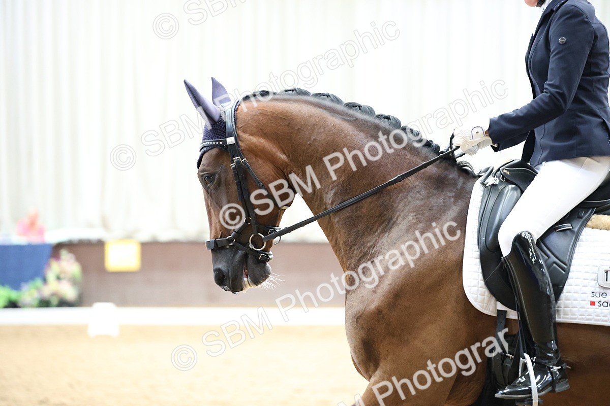 SBM_003141 - Class 5 - Novice 6 Gold - 11.41-12.51