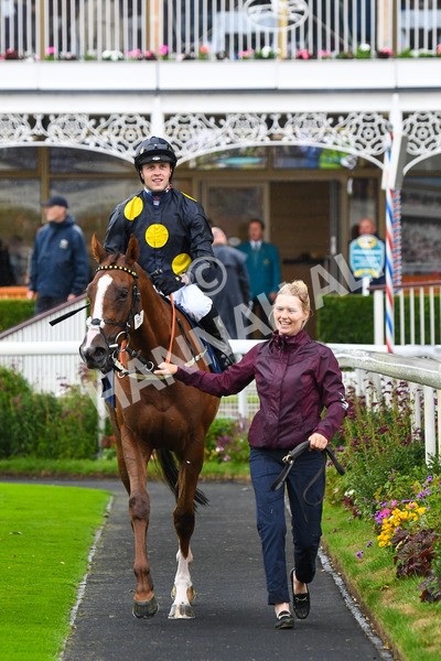 140723-Race 2-Swingalong-0170 - Race 2 2.40pm William Hill Summer Stakes