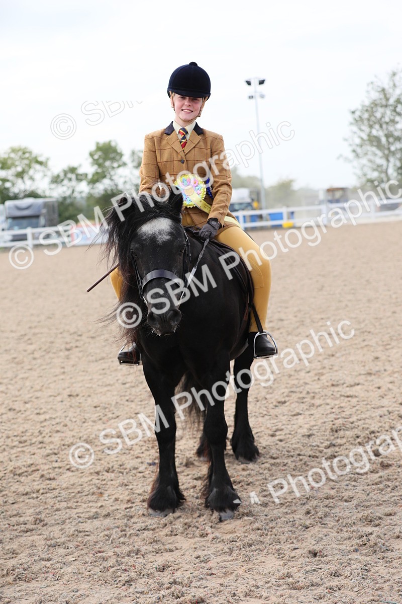 SBM_17042 - Class 314 Family Horse/Pony