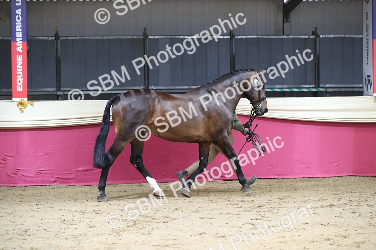 SBM_05000 - Class 8R- Regional -IH Veteran