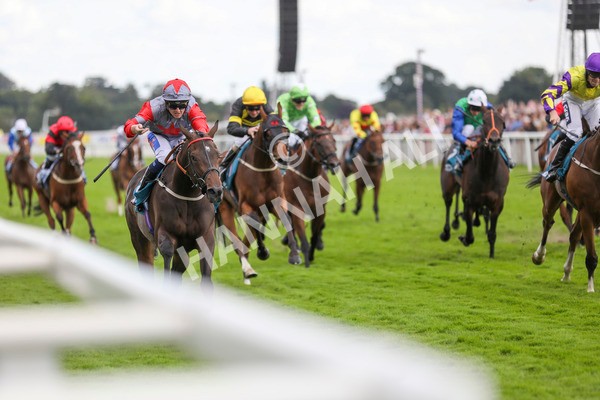 290723-Race 7-Bajan Bandit-4064 - Race 7 5.45pm Sky Bet Extra Places Every Day Handicap