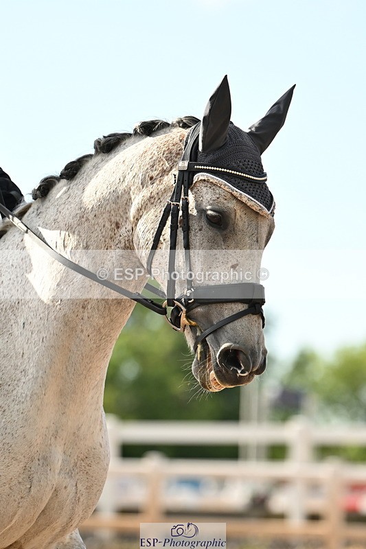 240622A-190343-15708 - Cls 8B+C Medium 71 RoR