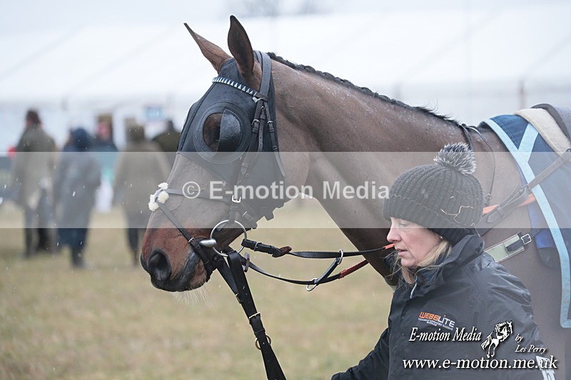 PtP 260125 133 - Cocklebarrow Point-to-Point racing with the Heythrop Hunt 26/01/25
