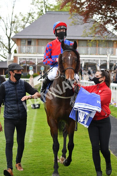 yr14052021r6-27 - Race 6 4.15pm Yorkshire Equine Practice Stakes