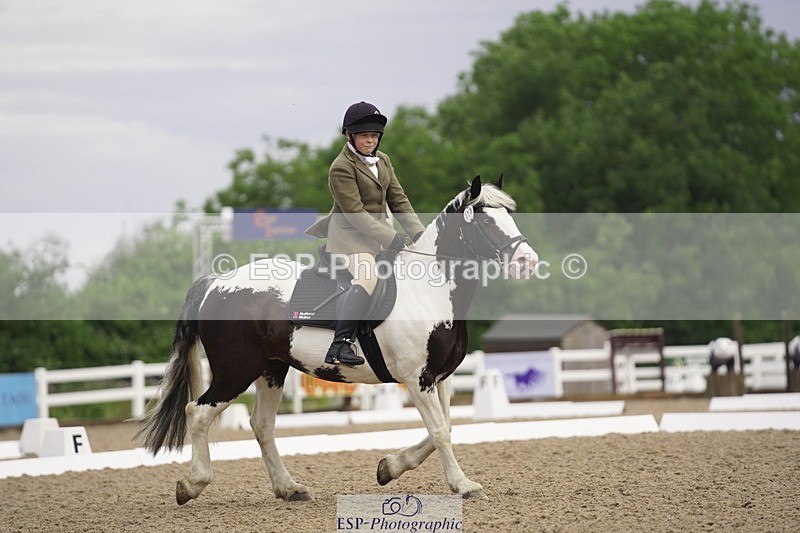 230708A-090138-00012 - Intro C