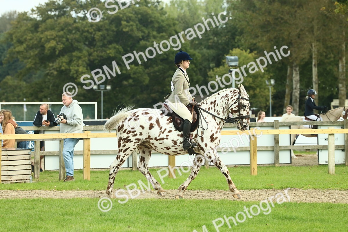 SBM_62460 - S62 - Foreign Breeds Ridden