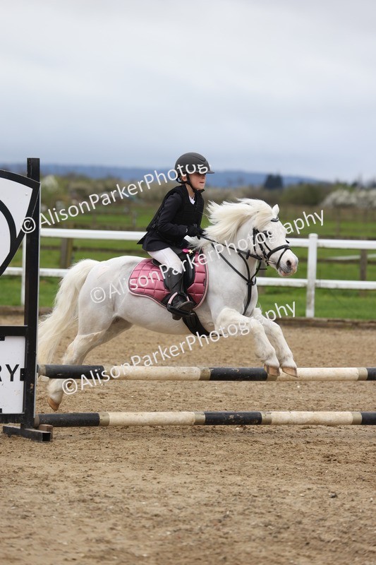 20260403-0471 - Class 2 - 50cm