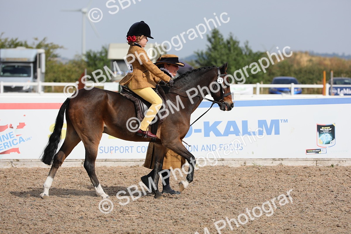 SBM_13965 - Class 309 Lead Rein Pony