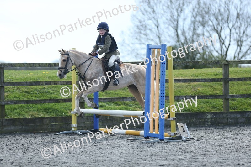 20260412-1771 - Show Jumping