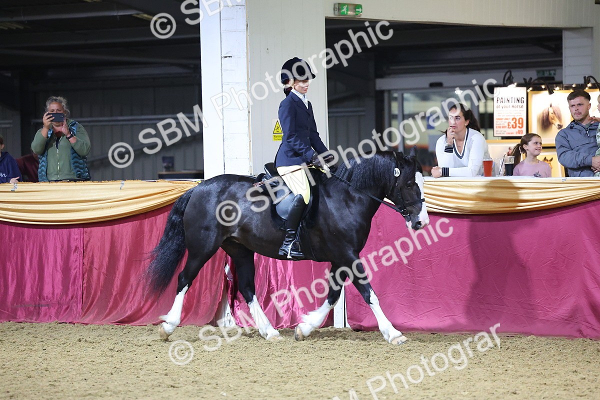 0B8A4668 - Class R Working Veteran Champ