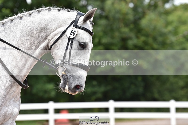 240706A-124944-02393 - Cls 4A Snr Novice 24