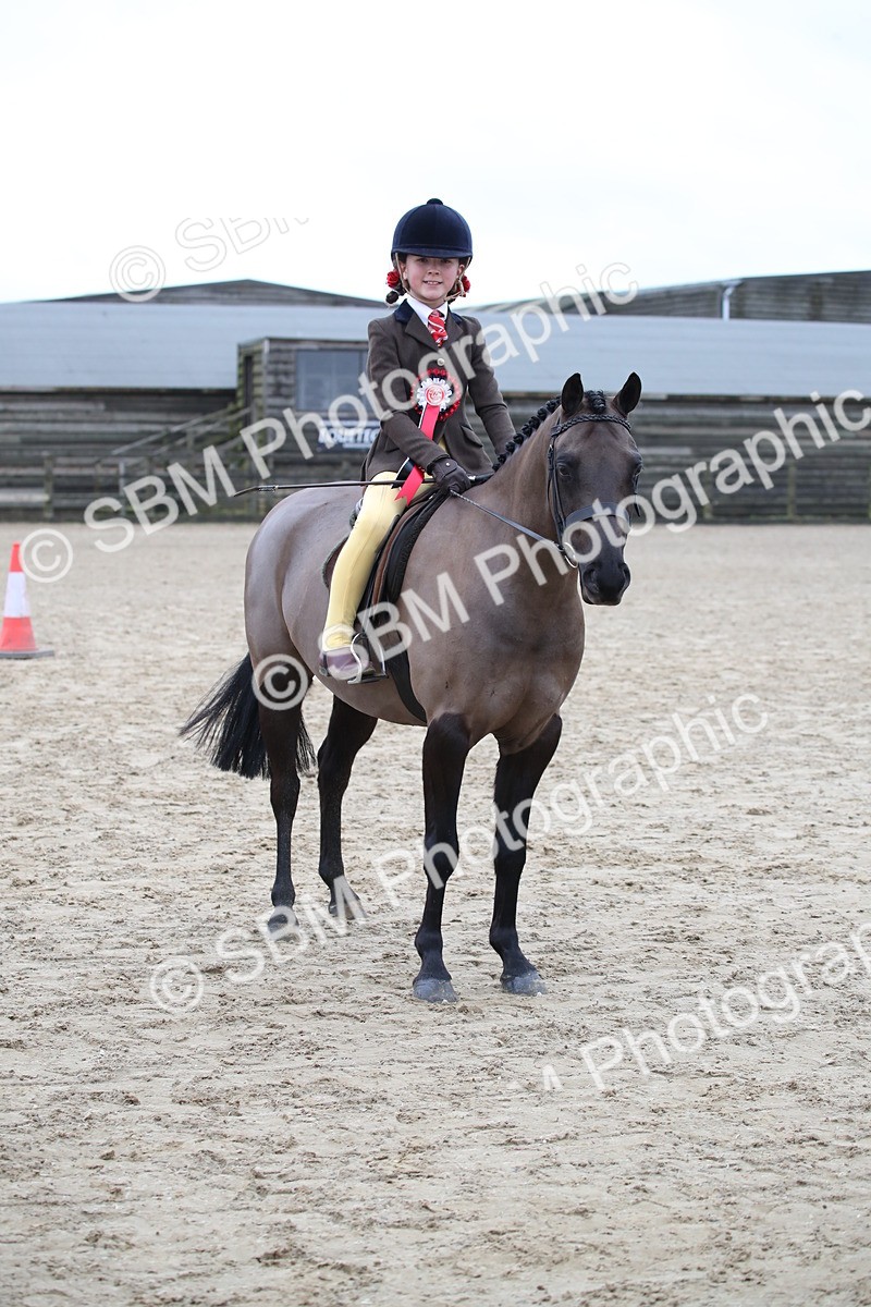 SBM_004626 - Class 5-9 - NPS In Hand-Show Hunter-Intermediate Ridden Inc Ridden Championship