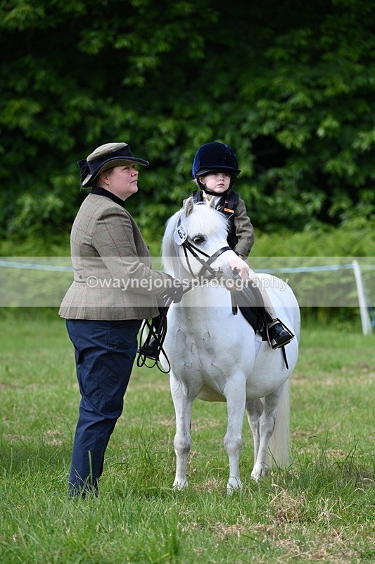 WJ7_0798 - Class 8 First Rally Pony