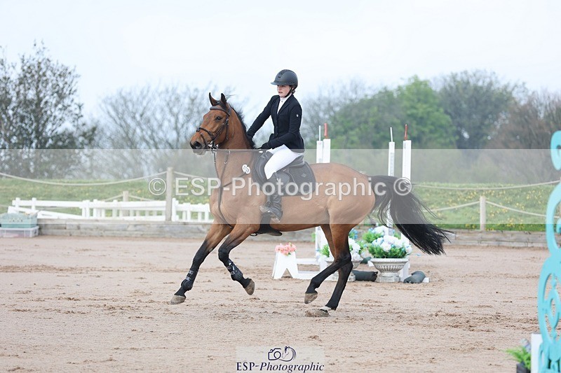 250424-090617-02546 - Cls 29 Young Horse 6yr old