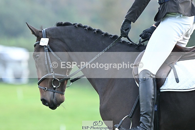 231020-093134-05677 - 462-SILVER.BAY-Marshall.David.Johnson-DR