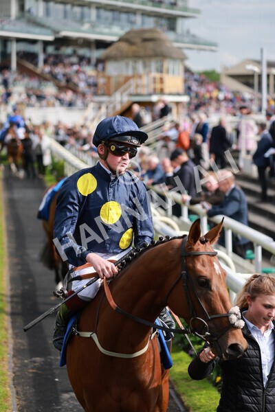 yr21052022r6-7 - Race 6: 4:42pm Yorkshire Regiment Stakes