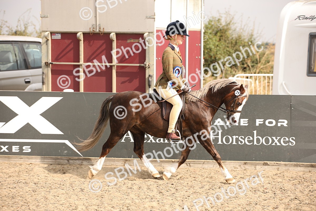 SBM_11712 - Class 404b Junior Working Veteran- 40cm(20+)