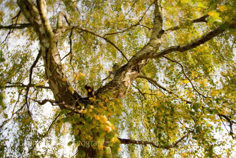 Perceptions of Reality 3 - Mindfulness and Meditation