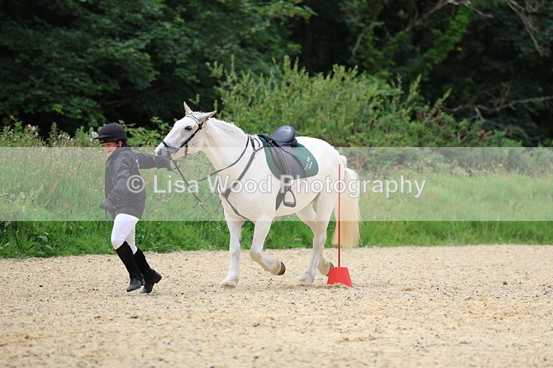 3E7A9646 - Walk trot run