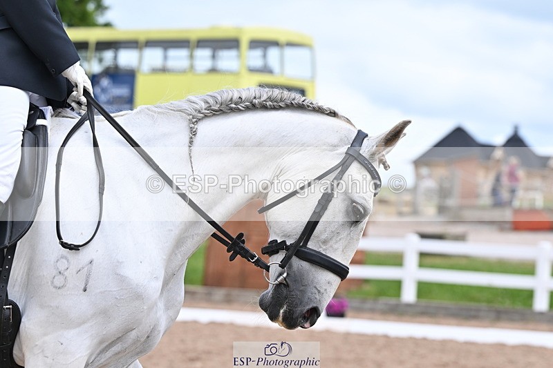 240622A-130211-10454 - Cls 29 BD Elementary 45