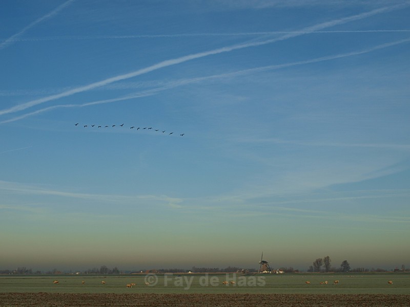  - Schiphol Skies