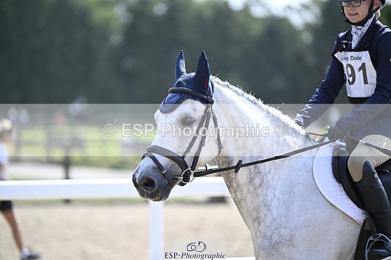 240823X-120423-16351 - 60cm R2 11.00 to 12.30