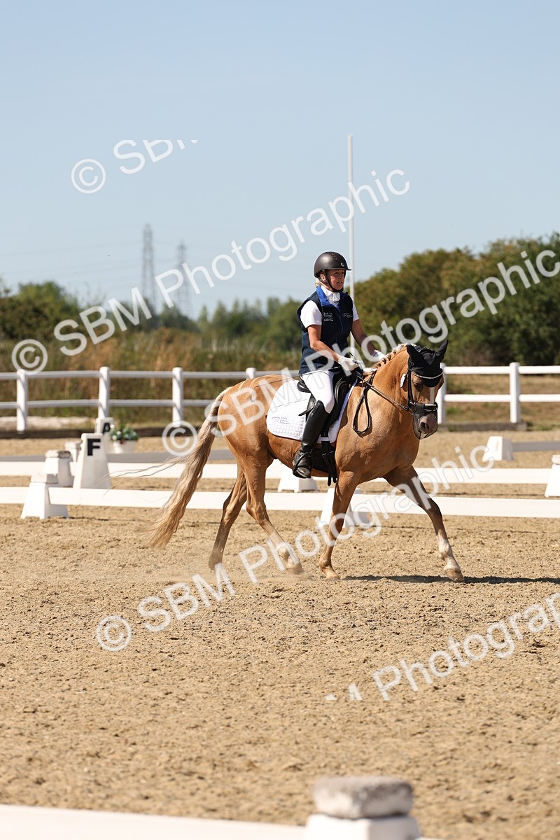 SBM_003674 - Elementary 4