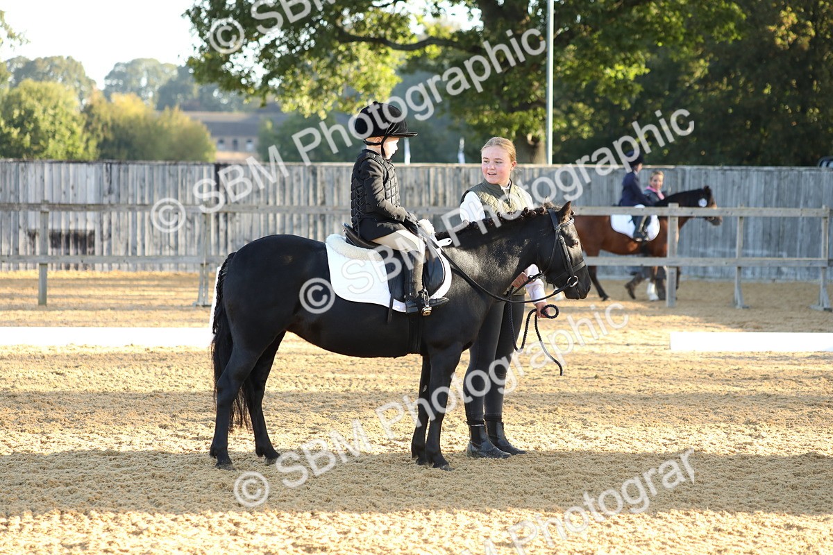 SBM_33577 - D26 - Starers - Lead Rein