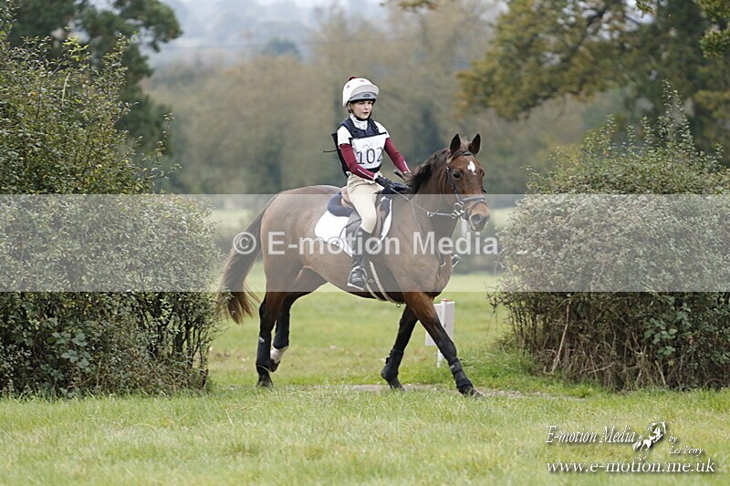 WWHT 181020 WWHT 181020 1342 - WWEC Intermediate (0.90m)  18/10/20