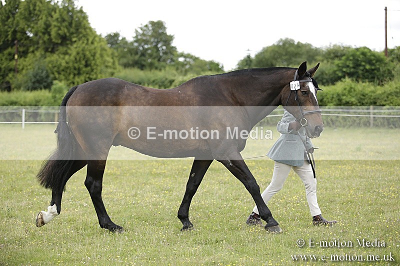 BVR160717-727 - Ring 2 BVRC Show 16/07/17