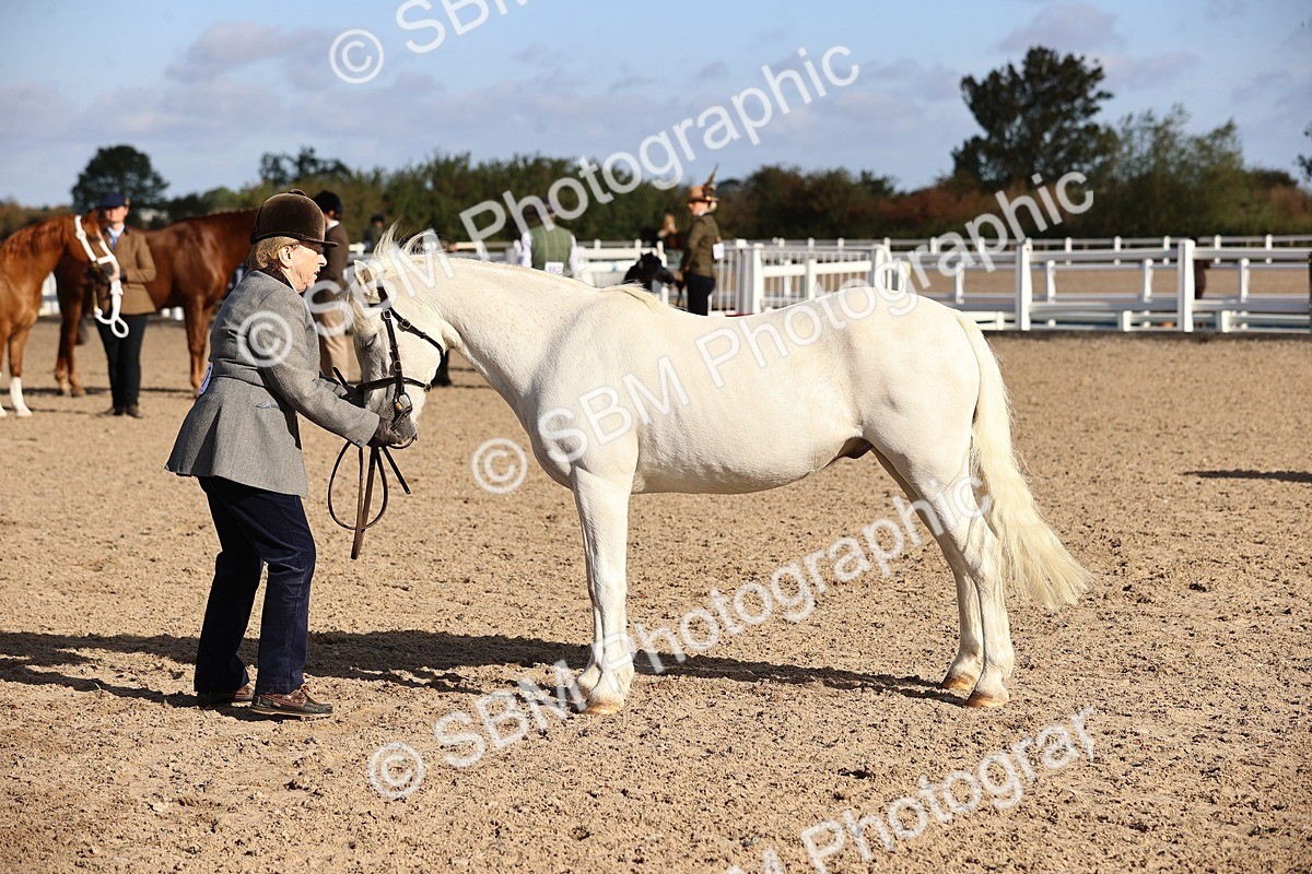 SBM_08520 - Class 402 - IH Veteran Pony
