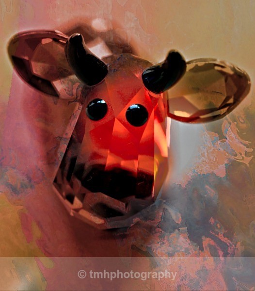 Pastel Cow. - Still Life / Contemporay Art